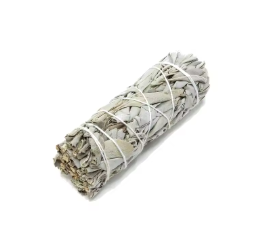 Baton de sauge